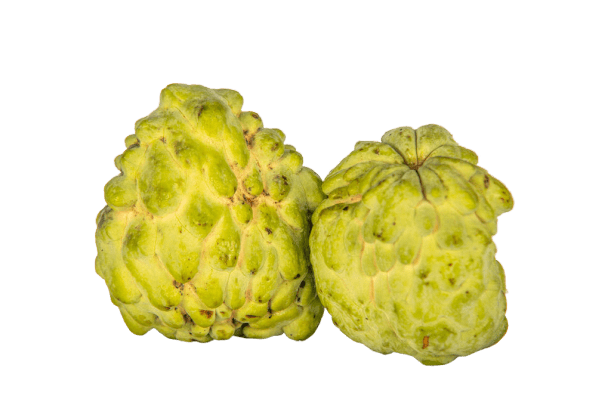 Custard Apples