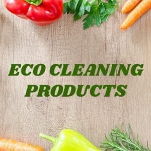 Eco Friendly Cleaning Products